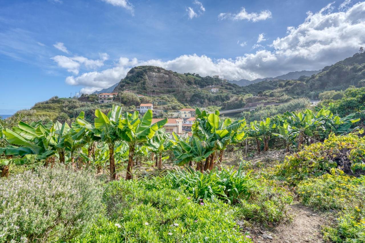 Quinta Da Vila Porto Da Cruz Luaran gambar